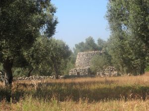 Vecchia paiara a poche centinaia di metri dalla provinciale Tricase - Lucugnano