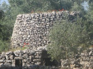 Primo piano vecchia paira a poche centinaia di metri dalla provinciale Tricase - Lucugnano