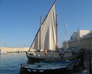 Tricase Porto - 12 maggio 2007 - ore 17,30 circa - E' stata issata la prima vela del Caicco Portus Veneris