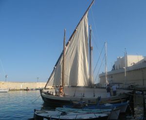 Tricase Porto - 12 maggio 2007 - ore 17,30 circa - E' stata  issata la prima vela del Caicco Portus Veneris