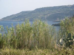 Tricase Porto - Un suggestiva veduta della costa