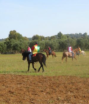 Tricase - 2 giugno 2007 - provinciale per Tricase Porto - Palio delle Contrade