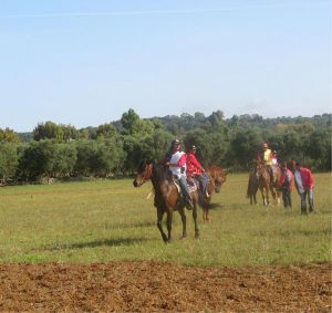 Tricase - 2 giugno 2007 - provinciale per Tricase Porto - Palio delle Contrade