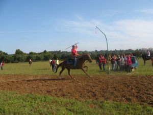 Tricase - 2 giugno 2007 - provinciale per Tricase Porto - Palio delle Contrade