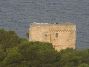 Un suggestivo scorcio della Torre Palane