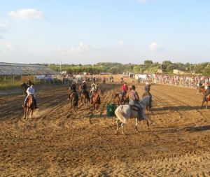 Tricase - Fondo Donna Maria - 7 agosto 2007 - Palio di San Vito