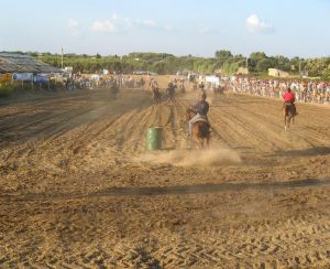 Tricase - Fondo Donna Maria - 7 agosto 2007 - Palio di San Vito