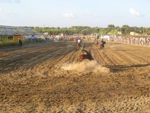 Tricase - Fondo Donna Maria - 7 agosto 2007 - Palio di San Vito