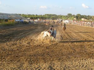 Tricase - Fondo Donna Maria - 7 agosto 2007 - Palio di San Vito