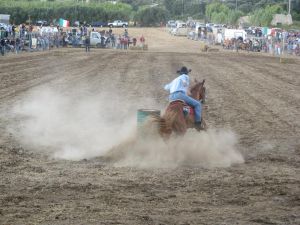 Tricase - Fondo Donna Maria - 7 agosto 2007 - Palio di San Vito