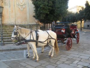 Tricase - Uno scorcio di piazza Giuseppe Pisanelli