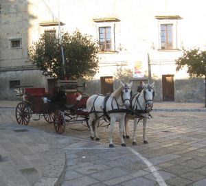 Tricase - Uno scorcio di piazza Giuseppe Pisanelli