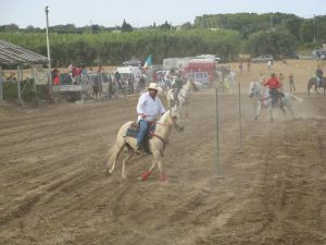 Tricase - Domenica 12 agosto 2007- Fondo Donna Maria - 1^ Edizione del Trofeo San Vito - Gare di Monta Western