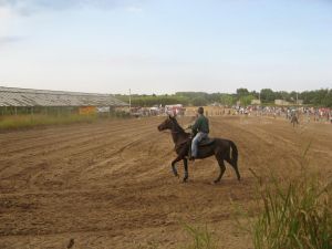 Tricase - Domenica 12 agosto 2007- Fondo Donna Maria - 1^ Edizione del Trofeo San Vito - Gare di Monta Western