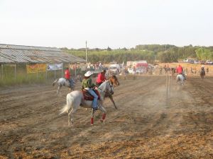 Tricase - Domenica 12 agosto 2007- Fondo Donna Maria - 1^ Edizione del Trofeo San Vito - Gare di Monta Western