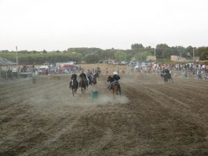 Tricase - Domenica 12 agosto 2007- Fondo Donna Maria - 1^ Edizione del Trofeo San Vito - Gare di Monta Western