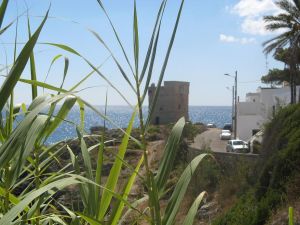 Un suggestivo scorcio della torre costiera 