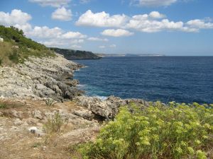 Un suggestivo scorcio della costa 