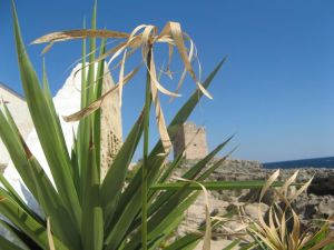 Marina Serra - Uno scorcio della Torre Palane