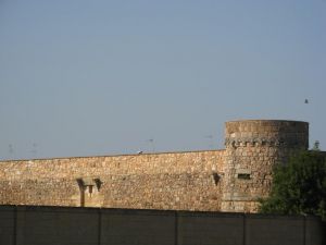 Caprarica - Uno scorcio del retro del castello