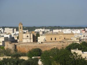 Caprarica - Una veduta dall'alto del castello