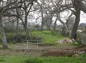 Tricase - Lavori messa in sicurezza del Boschetto delle 

Vallonee 