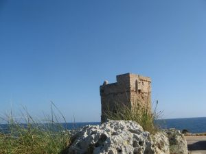 Un suggestivo scorcio della Torre Palane