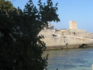 Un suggestivo scorcio della Torre Palane