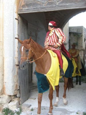 Tutino - 19 luglio 2009 - Il Palio delle Contrade - Corteo medievale