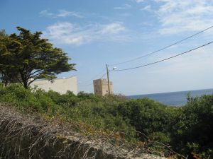 Uno scorcio di Torre Palane