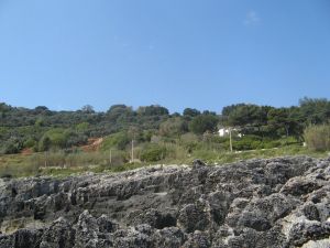 Marina Serra - Lungomare Mirabello - Un suggestivo scorcio della costa