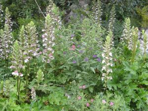 I colori della primavera tricasina