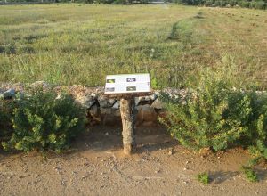 Contrada Rurale di Tricase - Percorso di valorizzazione e fruizione dei Beni Ambientali della zona Palane