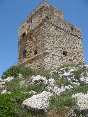 Un suggestivo scorcio della Torre Palane