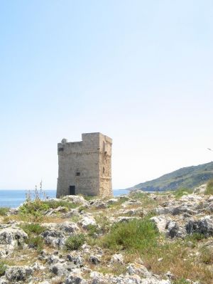 Torre Palane