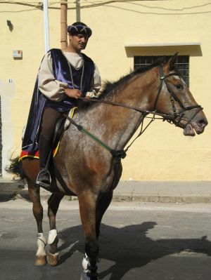 Depressa -piazza Castello - 15 giugno 2008 - Sfilata in abiti d'epoca medievale promossa dall'Associazione Ippica Sud Salento