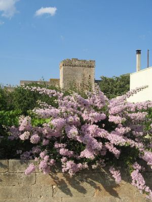 Lucugnano - Un suggestivo scorcio del castello degli Alfarano - Capece