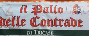 III Edizione  del Palio delle Contrade 