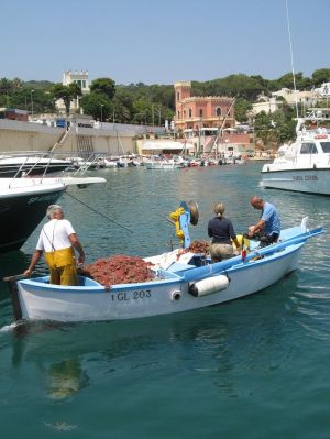 31 luglio 2008 - Tricase Porto - Riprese televisive per la trasmissione televisiva di Rai Uno 