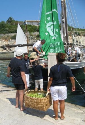 31 luglio 2008 - Tricase Porto - Riprese televisive per la trasmissione televisiva di Rai Uno 