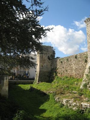 Tutino - Uno scorcio del castello dei Trane del '500