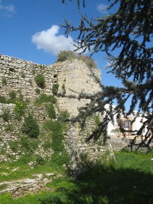 Tutino - Uno scorcio del castello dei Trane del '500