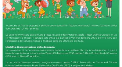 AVVISO PUBBLICO PER LE ISCRIZIONI AL SERVIZIO SEZIONI PRIMAVERA  