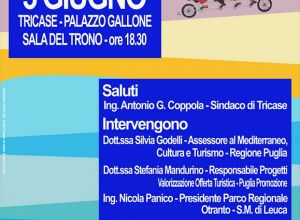 Tricase - 3 giugno 2013 - ore 18.30 - Sala del Trono di Palazzo Gallone - Convegno sul tema 