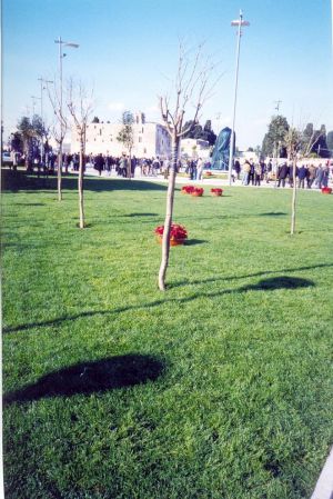 Piazza Cappuccini - Inaugurazione