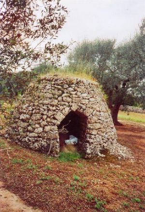 Vecchia paiara a un centinaio di metri dalla Cripta della Madonna del Gonfalone