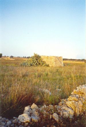 Paiara, in parte coperta da fichi d'India, nei pressi dell'antica abazia del Mito