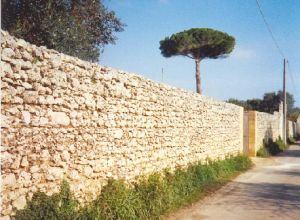 Tricase - Via Madonna del Loreto - Vecchio muretto a secco.