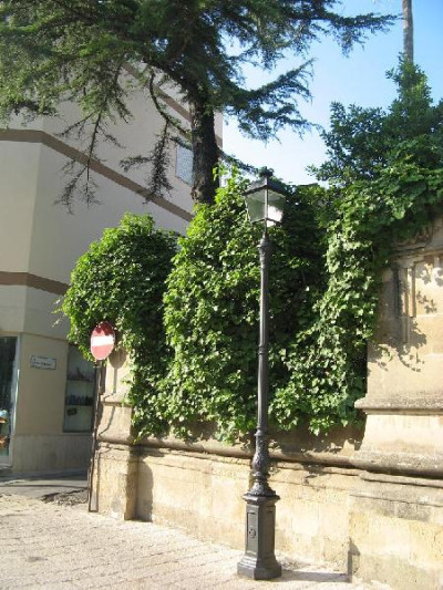 Tricase - Uno scorcio di via G. Toma Tricase - Uno scorcio di via G. Toma