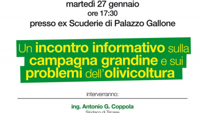Tricase - 27.1.2015- ore 17.30 - Scuderie di Palazzo Gallone - Incontro infor...